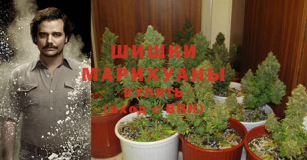 mdma Белая Холуница