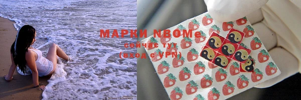 сатива Михайловка