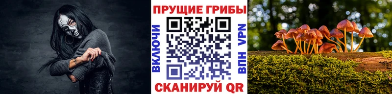 Псилоцибиновые грибы MAGIC MUSHROOMS  OMG   Николаевск  наркота 